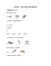 教科版一年级上册科学期末测试卷（能力提升）