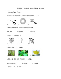 教科版一年级上册科学期末测试卷汇总