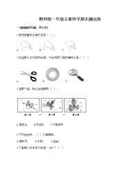 教科版一年级上册科学期末测试卷必考题