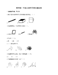 教科版一年级上册科学期末测试卷（有一套）