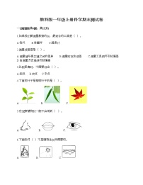 教科版一年级上册科学期末测试卷带答案