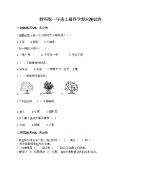 教科版一年级上册科学期末测试卷附答案（轻巧夺冠）