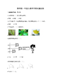 教科版一年级上册科学期末测试卷附解析答案