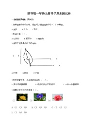 教科版一年级上册科学期末测试卷（模拟题）