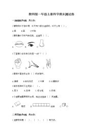 教科版一年级上册科学期末测试卷附答案（B卷）