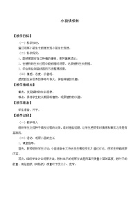 小学科学湘教版四年级下册2 小苗快快长教案