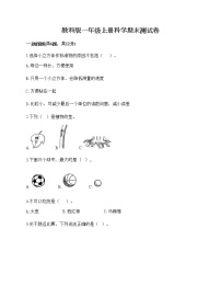 教科版一年级上册科学期末测试卷A4版打印