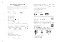 四年级上册科学试题-苍南县2020学年第一学期期末质量检测 教科版