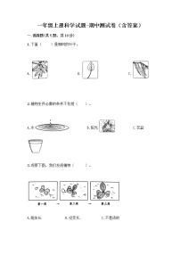 教科版一年级上册科学期中质量检测卷1 （含答案）