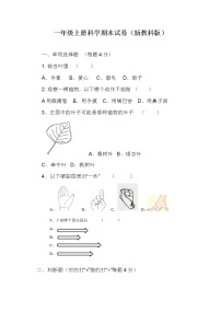 教科版一年级上册科学期末试卷1