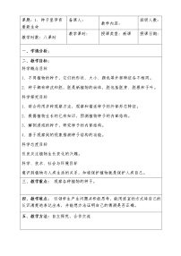 2020教科版四年级下册科学教案（全册）