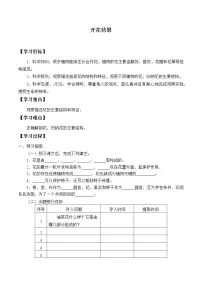 小学科学湘科版 (2017)三年级下册3 开花结果学案