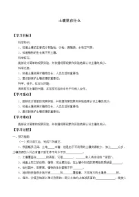 2020-2021学年1 土壤里有什么学案