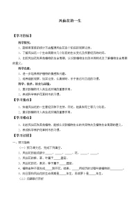 科学三年级下册8 凤仙花的一生学案