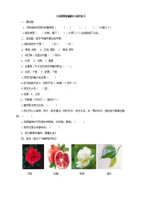 粤教粤科版 (2017)一年级下册第4单元 校园里的生物14 校园里的植物同步达标检测题