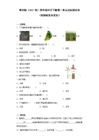 小学科学教科版 (2017)四年级下册植物的生长变化综合与测试练习题