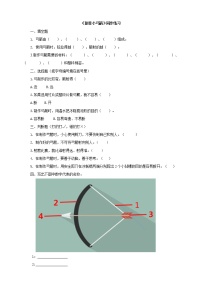 大象版 (2017)二年级下册第四单元 力和形变3 制作小弓箭达标测试