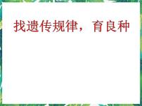 小学科学湘教版五年级下册2 找遗传规律，育良种授课课件ppt