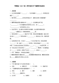 粤教版四年级科学下册期中检测卷（含答案）