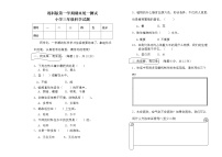 湘科版三年级上册科学期末测试（湘科版，含答案）