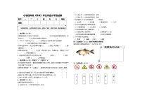 湘科版四年级上册科学期末学业水平测试卷 （湘科版，含答案）