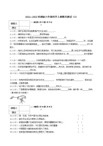 2021—2022科教版六年级科学上册期末测试（3）