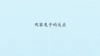 科学二年级上册1 观察兔子的反应评课ppt课件