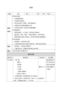 小学科学苏教版 (2017)四年级上册3 鸟类教案设计