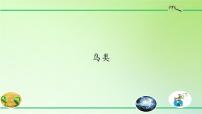2020-2021学年3 鸟类示范课课件ppt