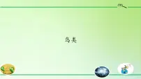 2020-2021学年3 鸟类示范课课件ppt