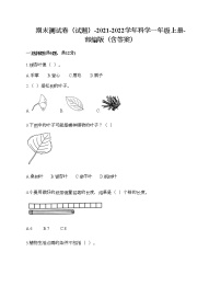 期末测试卷四（试题）-2021-2022学年科学一年级上册-部编版（含答案）