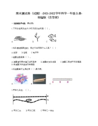 期末测试卷二（试题）-2021-2022学年科学一年级上册-部编版（含答案）