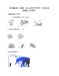 期末测试卷五（试题）-2021-2022学年科学一年级上册-部编版（含答案）