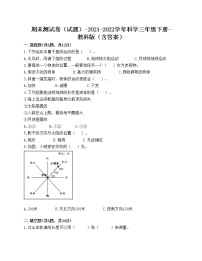 期末测试卷四（试题）-2021-2022学年科学三年级下册-教科版（含答案）