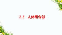 小学科学大象版 (2017)五年级上册第二单元 人体司令部3 人体司令部课文配套ppt课件