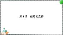 小学教科版 (2017)4.蚯蚓的选择习题ppt课件