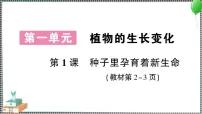 教科版 (2017)四年级下册1.种子里孕育着新生命习题课件ppt