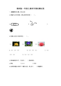 教科版一年级上册科学期末测试卷AB卷（B卷）