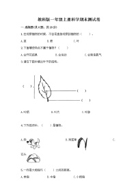 教科版一年级上册科学期末测试卷（基础题）及答案（新）