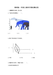 教科版一年级上册科学期末测试卷（夺分金卷）及答案（最新）