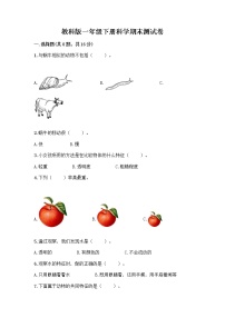 教科版一年级下册科学期末测试卷带答案（精练）含答案（达标题）