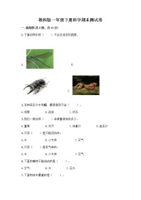 教科版一年级下册科学期末测试卷含答案（夺分金卷）附答案（典型题）