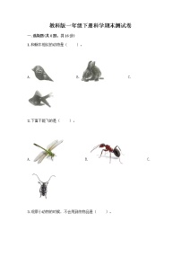 教科版一年级下册科学期末测试卷附答案（综合卷）带答案（B卷）