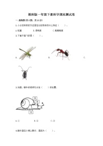 教科版一年级下册科学期末测试卷附答案（实用）带答案（模拟题）