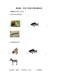 教科版一年级下册科学期末测试卷带答案（培优A卷）（考点精练）