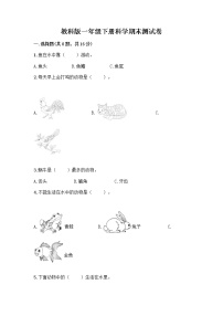 教科版一年级下册科学期末测试卷附答案（突破训练）带答案（综合题）