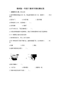 教科版一年级下册科学期末测试卷带答案（模拟题）含答案（模拟题）