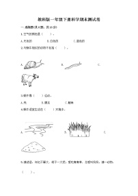 教科版一年级下册科学期末测试卷（考点提分）带答案（培优B卷）