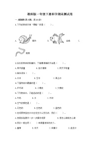 教科版一年级下册科学期末测试卷及答案（网校专用）及答案（全优）