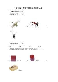 教科版一年级下册科学期末测试卷含答案（新）附答案（巩固）